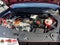2024 Chevrolet Equinox EV 2RS