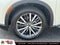2024 INFINITI QX60 AUTOGRAPH