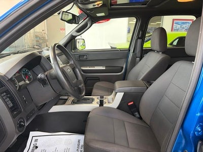 2011 Ford Escape XLT