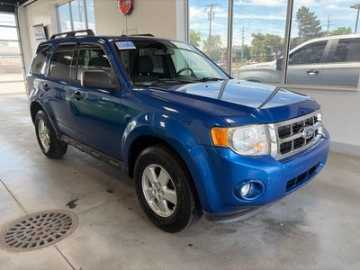 2011 Ford Escape XLT