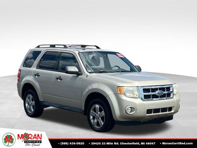 2010 Ford Escape XLT