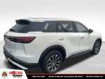 2024 INFINITI QX60 PURE